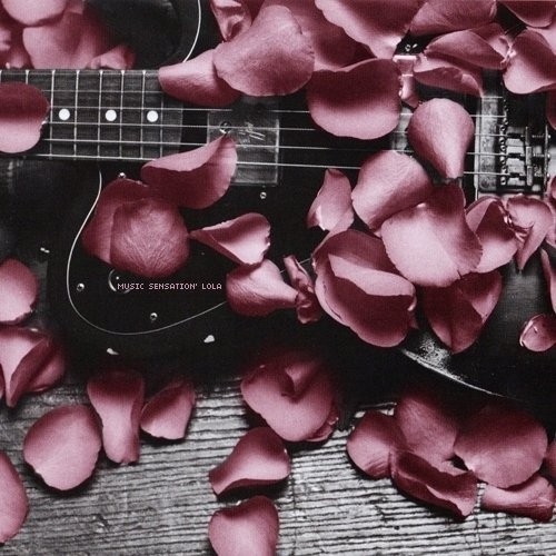 Gitary 1 - claudia-notes--beautiful-photography--music--romance--flowers--prijateljin--nice--Misc--lalala_large.jpg