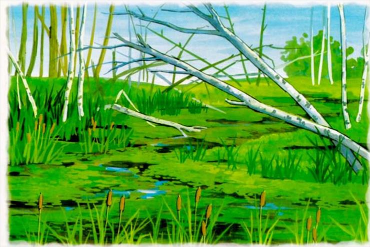 zjawiska natury - kolorowe - Bagno, mokradła.jpg