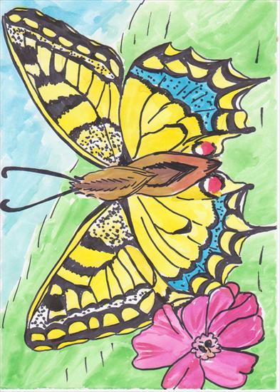 Rozwój motyla - motyl5.jpg