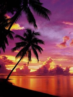 tapety - Tahitian_Sunset.jpg
