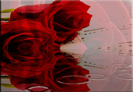 róże - uziizizp6.gif