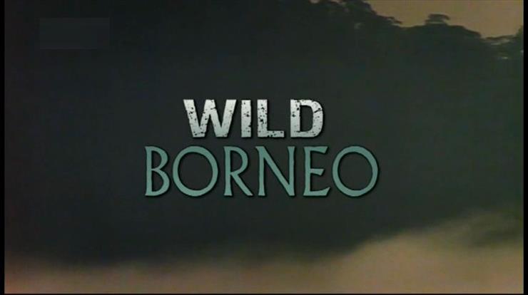 Dzikie Borneo -  Dzikie Borneo 1998L-Wild Borneo.jpg