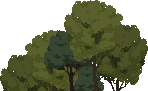 Trees - trees_common2.png