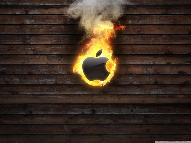 Apple - apple_logo_on_fire-wallpaper-1152x864.jpg