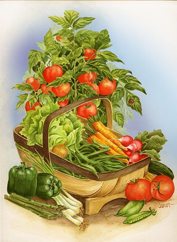 warzywa - vegetables3.jpg