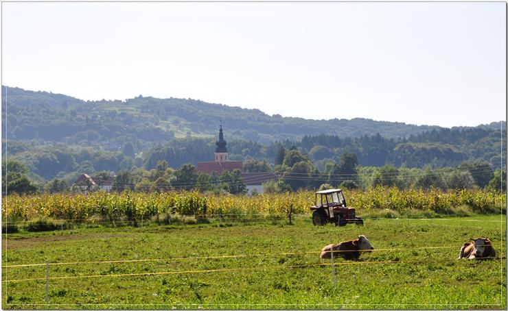 Kostanjevica-Słowenia - kostanjevica-24_3984334094_o.jpg