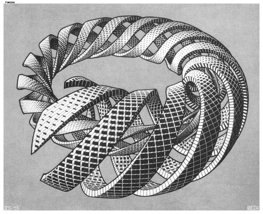 Escher - escher97_twon_spirals.jpg