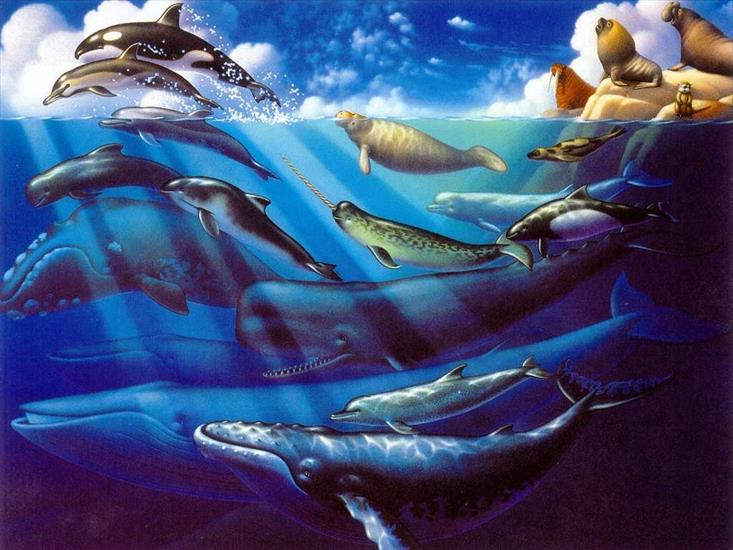 podwodne stwory - ocean3.JPG