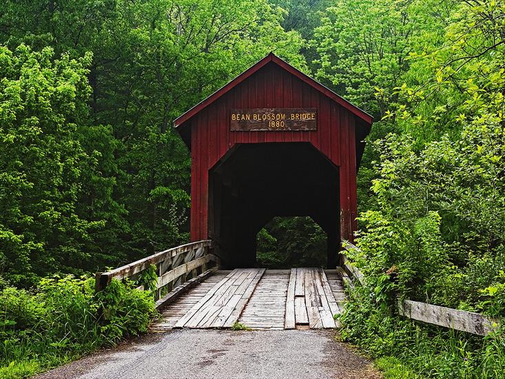 Mosty - Covered Bridge, Bean Blossom, Indiana.jpg