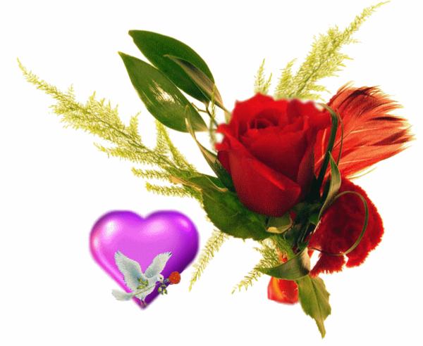 Róże symbol miłości - SERCE Z ROZYCZKA.jpg