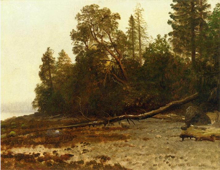Albert Bierstadt1830-1902 - Bierstadt_Albert_The_Fallen_Tree.jpg