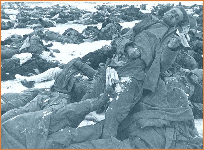 Smutny koniec Szwabów pod Stalingradem - stalingrad_dead_german_invaders2.jpg