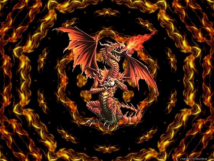 Dragon - WXP  26.jpg
