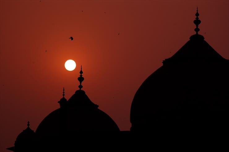 Architecture - Taj Mahal in Agra - India sunset.jpg
