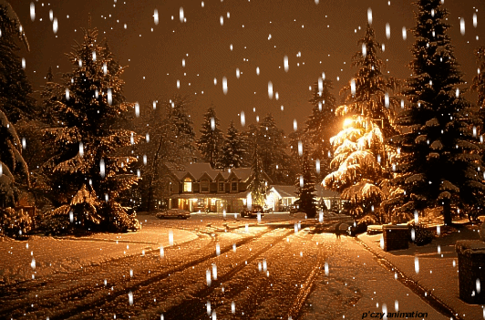 ZIMOWE - snieg nocą.gif