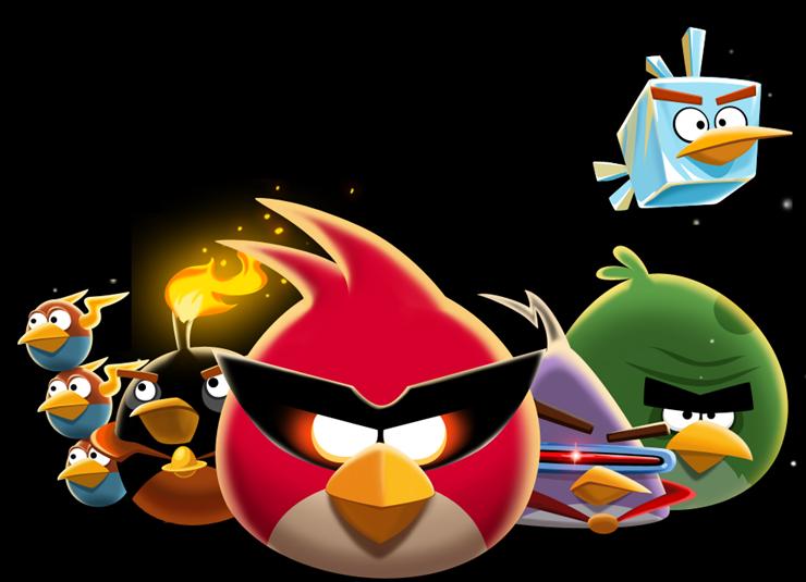 angry birds - theflock.png