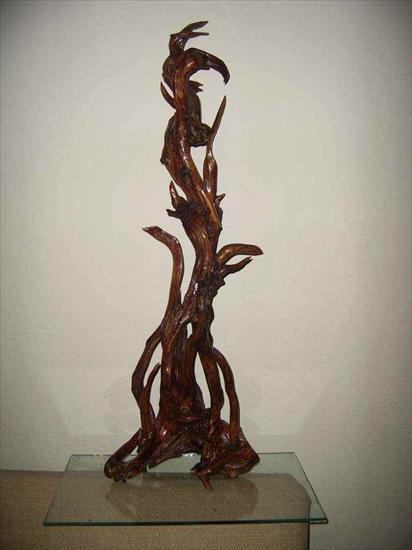 Rzeźby z korzeni - korzenie-szczawnica-pieniny-43-duze.JPG