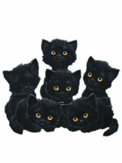 tapety i gify - Cats_Black.gif