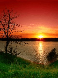 Krajobrazy - Sunset_Nature.jpg