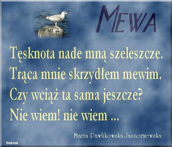 Maria Pawlikowska - Jasnorzewska - mewa.jpg