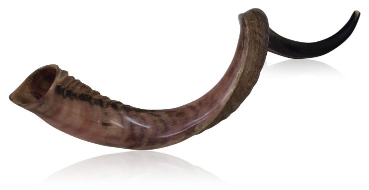 Shofar - shofar_.jpg