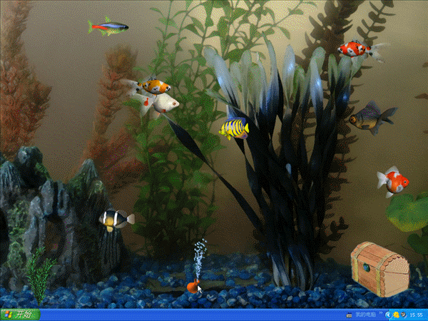 ryby - rybki w akwarium.gif