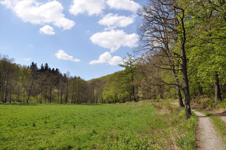 Rezerwat nad Groblą-Czechy - dsc_4558_25152213663_o1.jpg