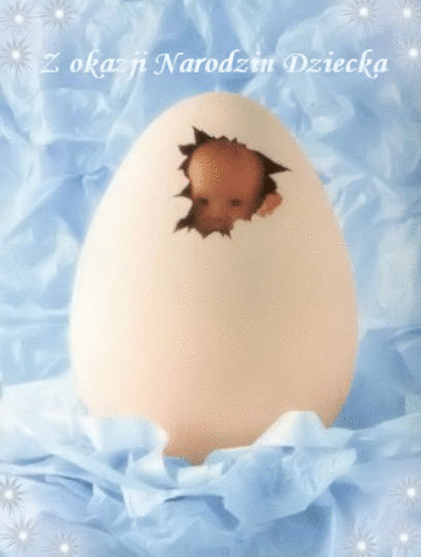 GIFY Z OKAZJI NARODZIN DZIECKA - z okazji narodzin dziecka bobas w jaju.gif