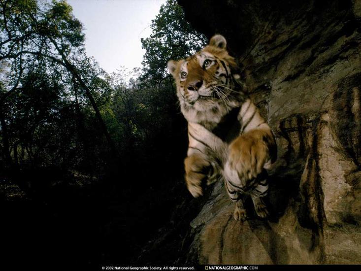 National Geographic - NGM1997_12p42-3.jpg
