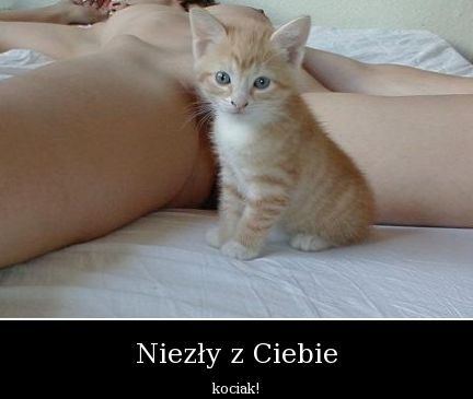 sexi foty i gify 2 - niezły kociak z ciebie.jpg