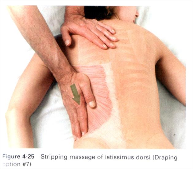 Anatomia masażu - 4-25.JPG