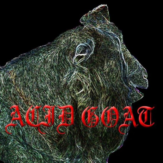 Acid Goat - Acid Goat - 2014 EP - cover.jpg
