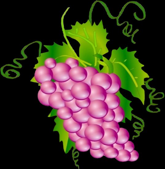 WINOGRON - pfs_winogrona-clipart...ccxx1.png