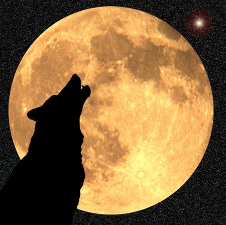 wilki - Wolf-Moon.jpg