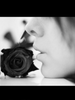 Flowers - Black_Rose2.jpg