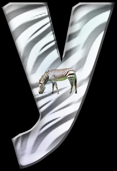 Alfabet zebra - zebra 24.png