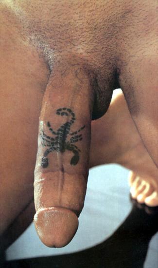 Tatuaże 1 - CIEAWOST.JPG