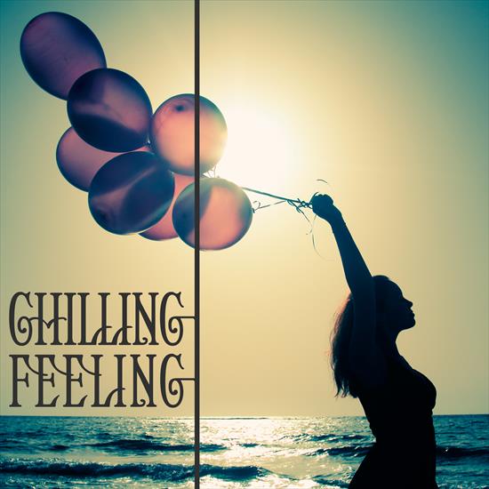 Chilling Feeling 2016 - va-chilling_feeling-web-2016.jpg