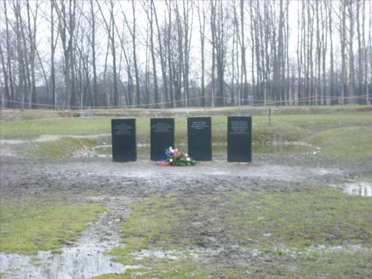 Auschwitz-Birkenau Birkenau - 1405.JPG