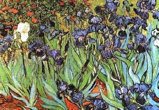 Vincent van Gogh - Vincent-van-Gogh-Irysy-1889.jpg