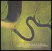 1988 - The Serpents Egg - AlbumArtSmall.jpg