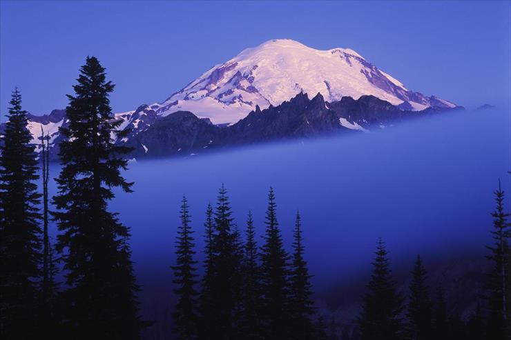 Tapety - Rising Through the Fog, Mount Rainier, Washington.jpg