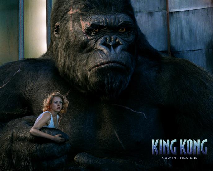 King Kong - king-kong_04.jpg