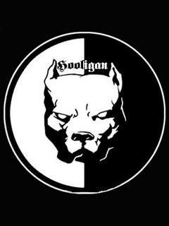 holigans - Hooligan Pit Bull.jpg