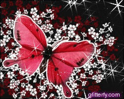 motyle - butterfly2.gif
