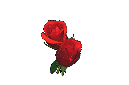 Czerwone róże - 92492212449294491073.gif
