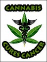 Zdrowie i odżywianie - healing-cancer-with-cannabis-95x125.jpg