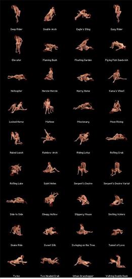 sextoon - sextoon - the 32 positions of sex.jpg