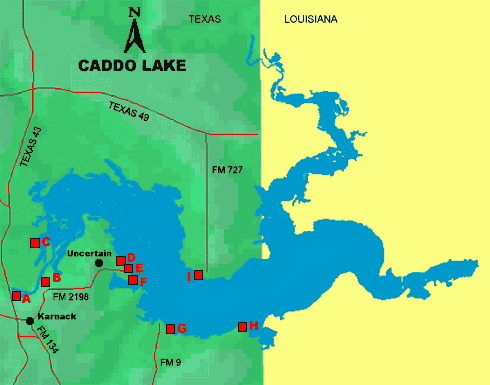 Jezioro Caddo-Luizjana-Teksas - caddo4.gif