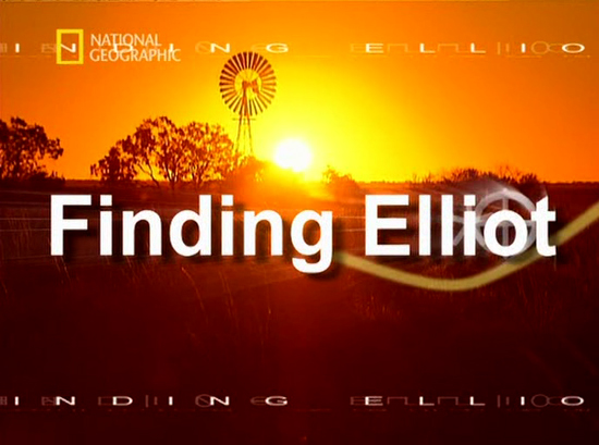 Poszukiwania Elliota - Poszukiwania Elliota 2003L-Finding Elliot.jpg